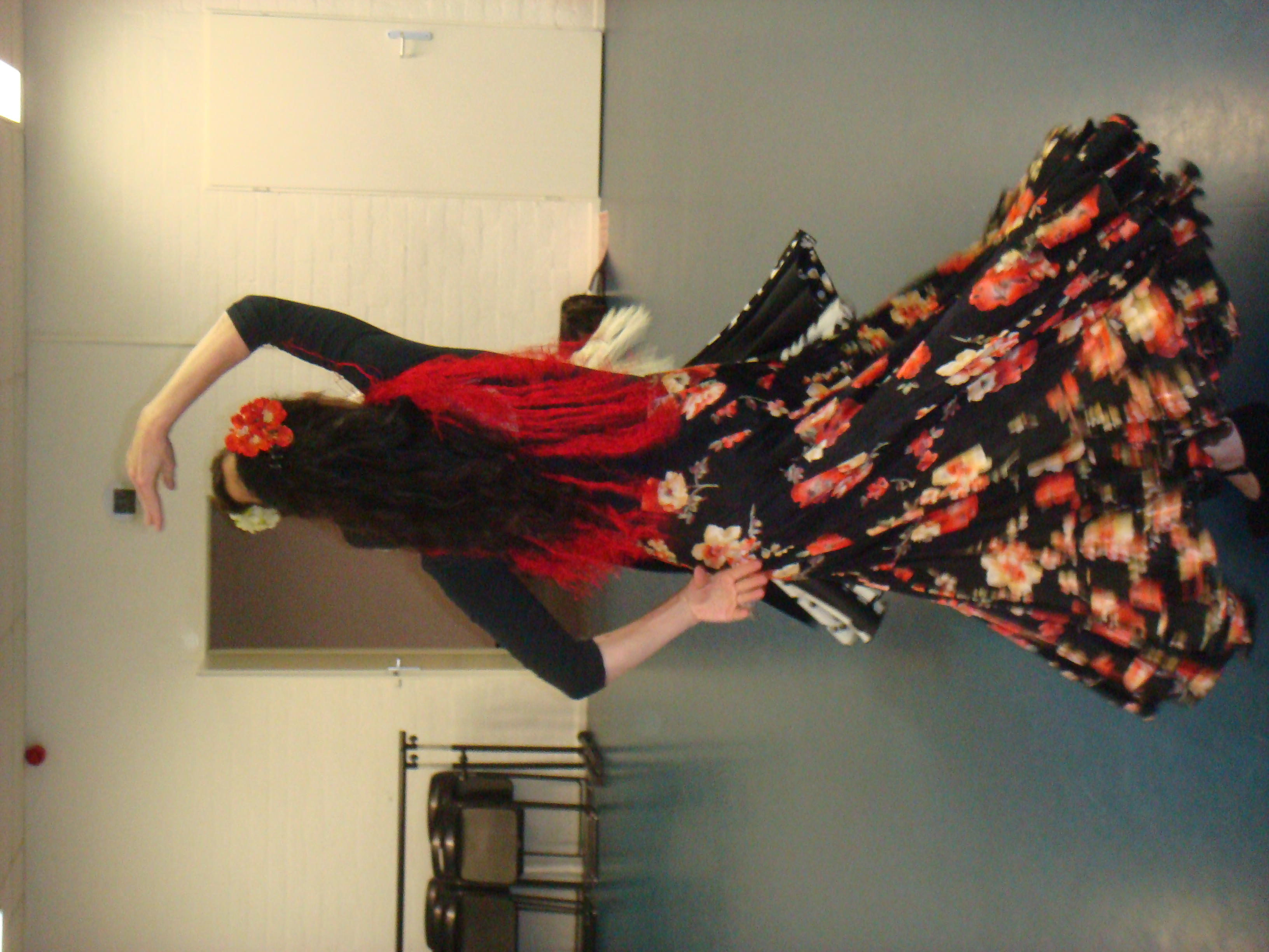 Flamenco dans